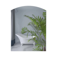 Зеркало ALIVE MRZ01-600x800 прямоугольное с дугообразным верxом (ZX5618)